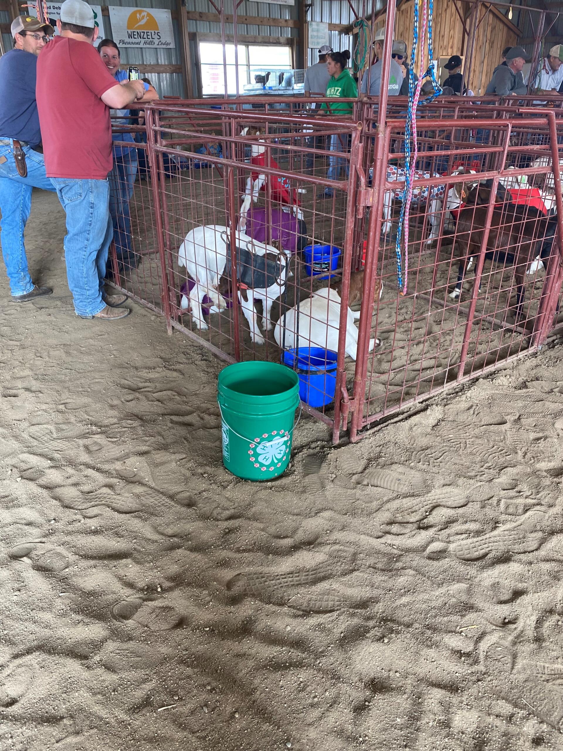 Jerauld County 4H Achievement Days 2023 KMIT 105.9 FM