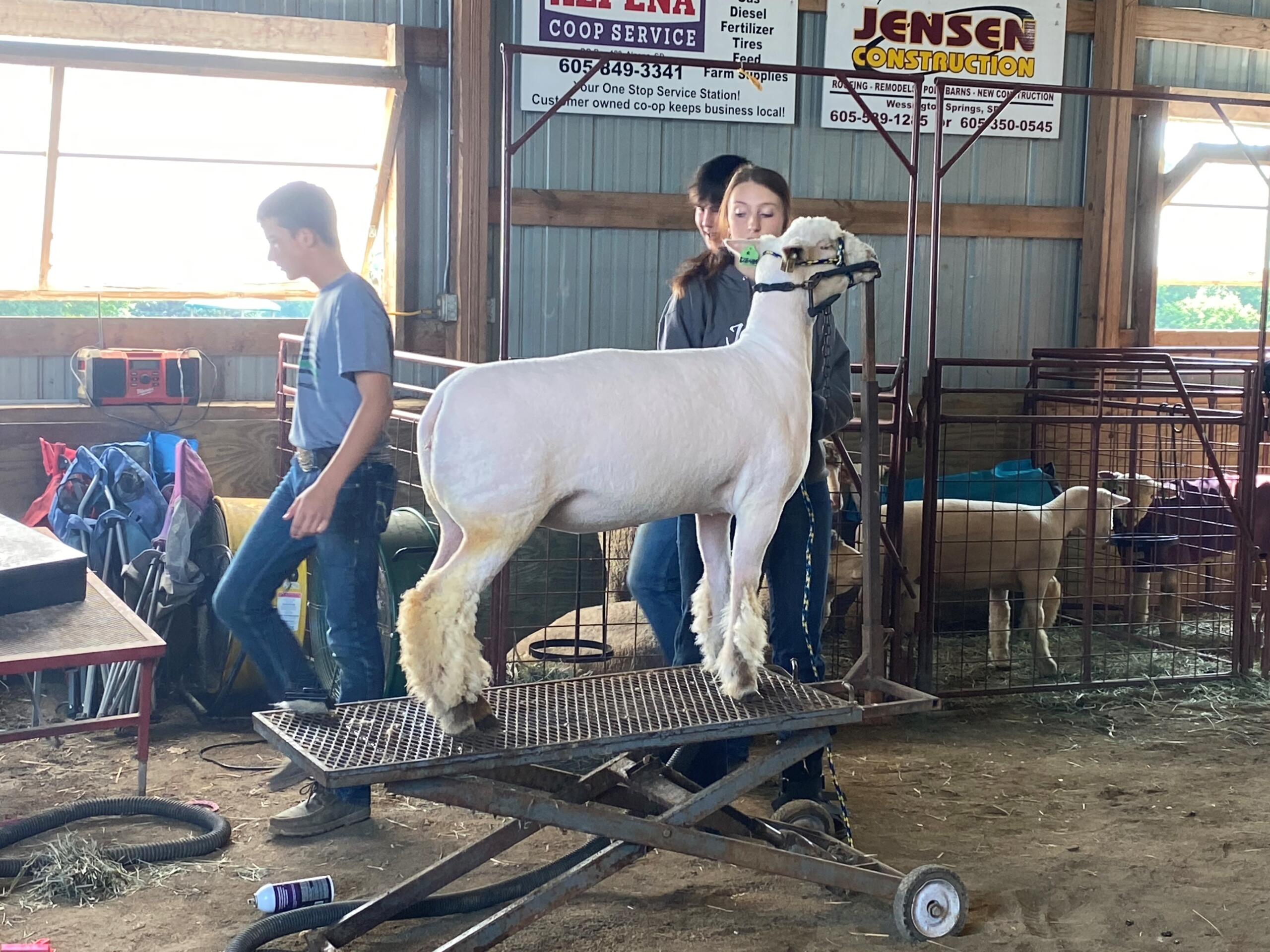 Jerauld County 4H Achievement Days 2023 KMIT 105.9 FM