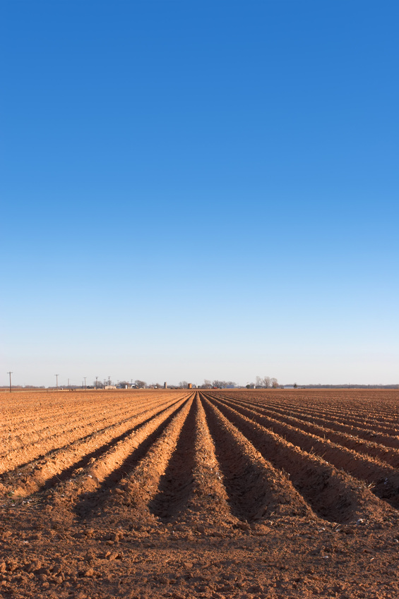 SDSU Extension booth at 2023 Dakotafest to feature livestock, soil and range experts