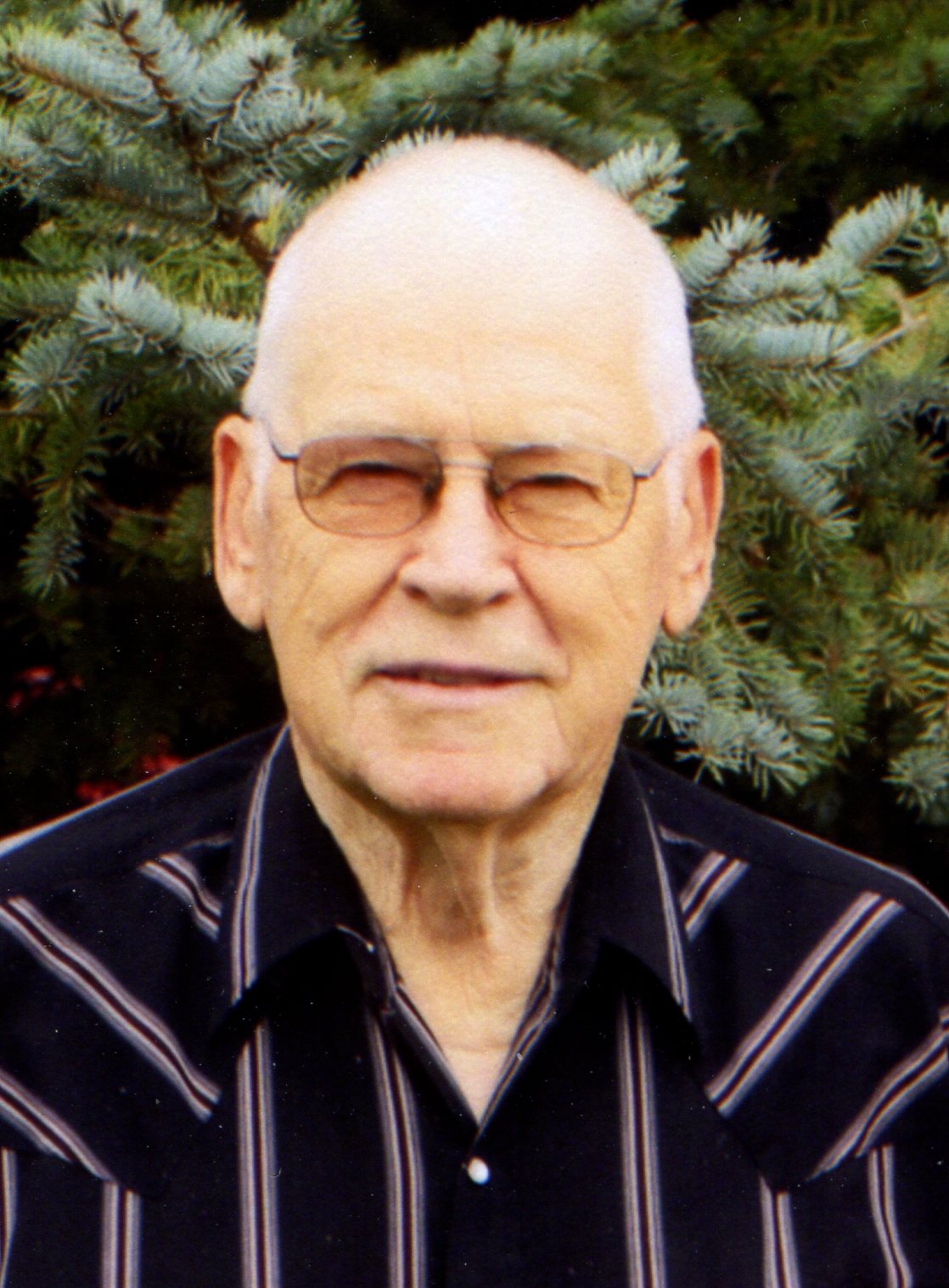 Elroy Edward Lippert, 89