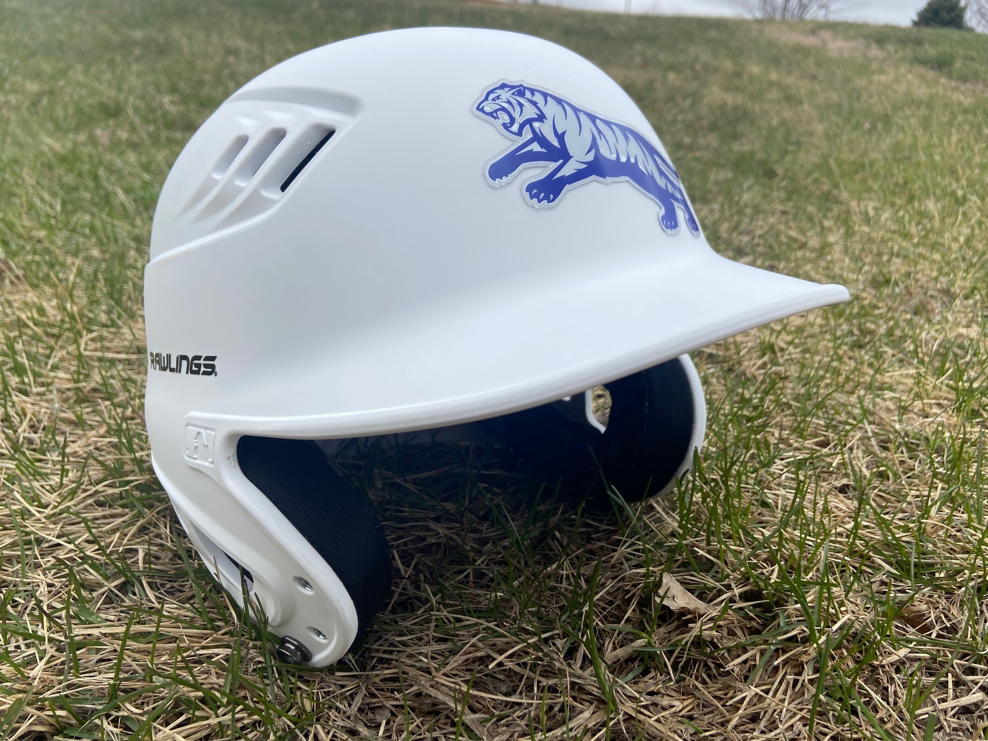 Multiple DWU sports in action tomorrow + Tiger Basketball teams receive honors; Twins begin their season this afternoon & Timberwolves beat Rockets in OT