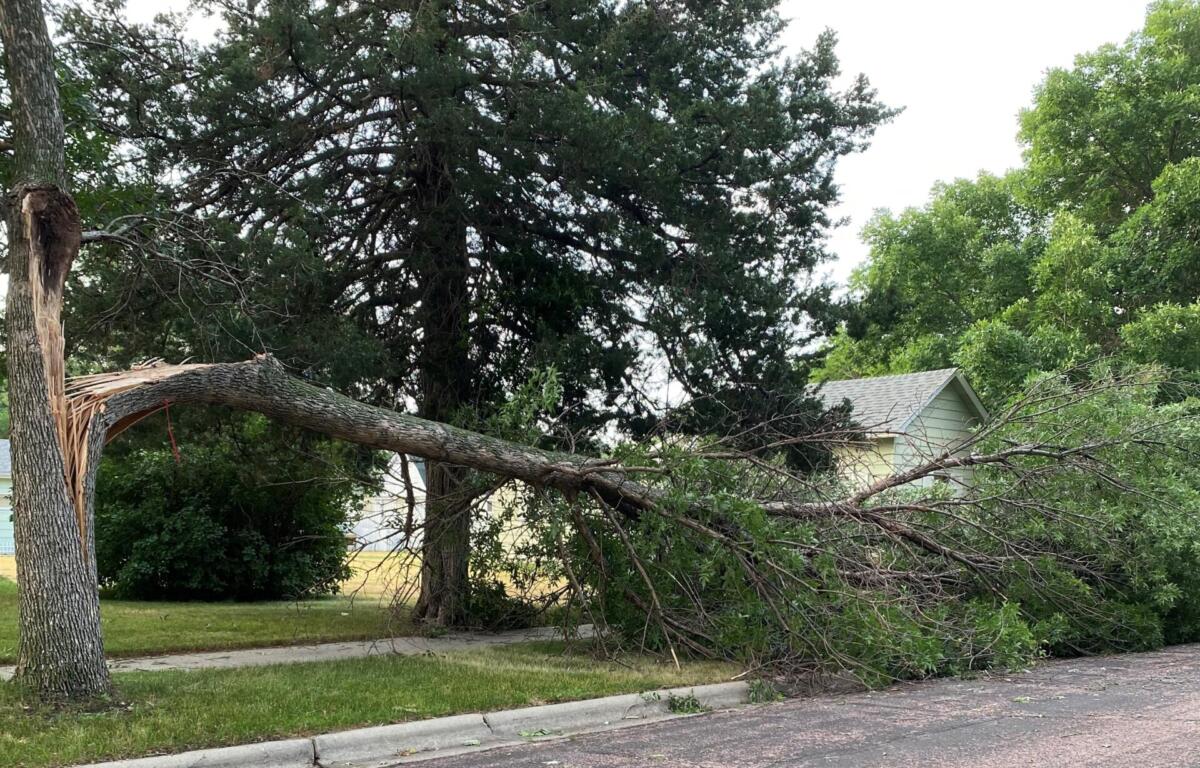Storm damage from 2022.