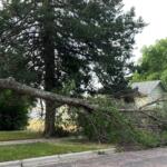 Storm damage from 2022.