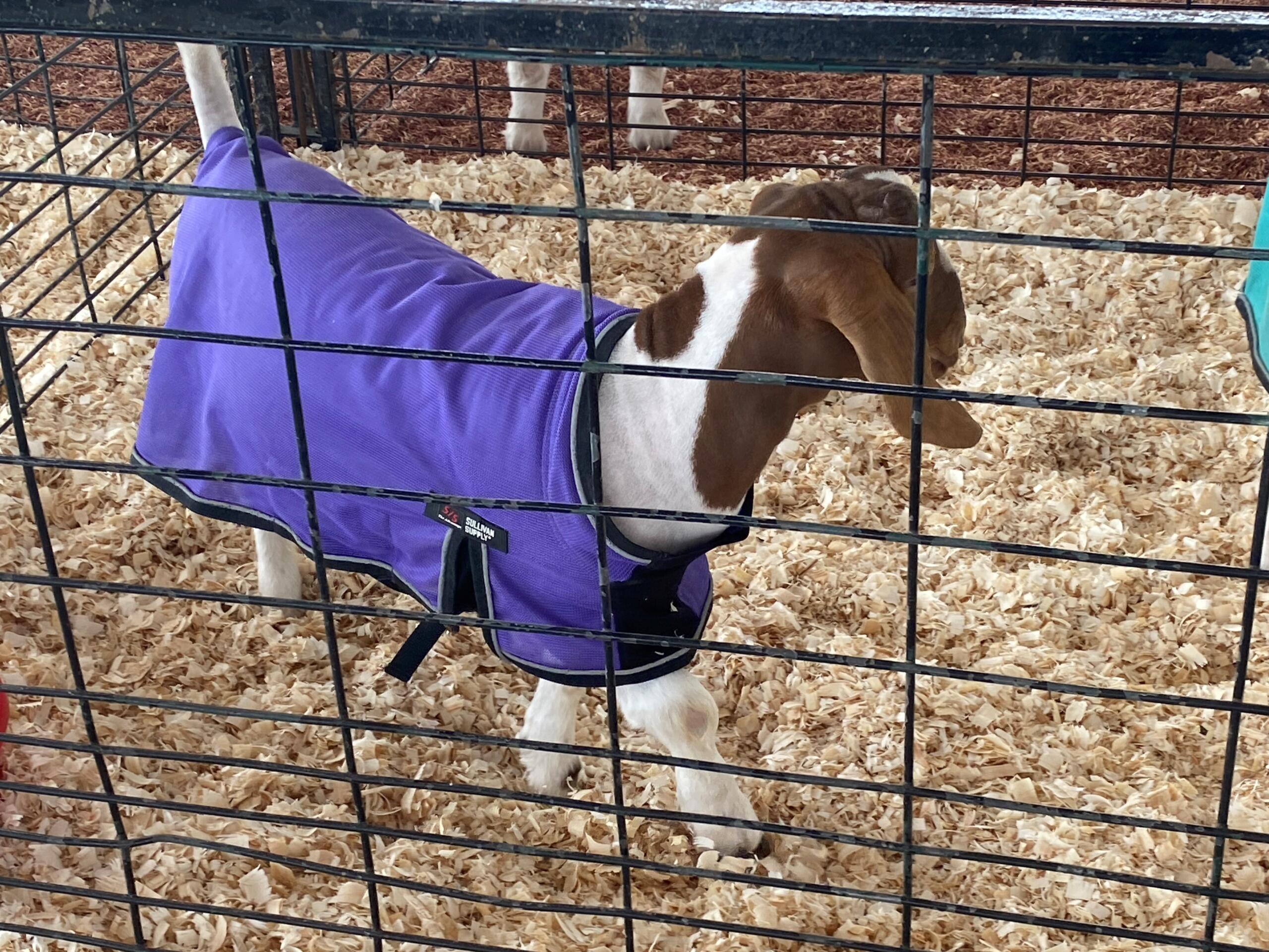 McCook County 4-H Achievement Days 2023