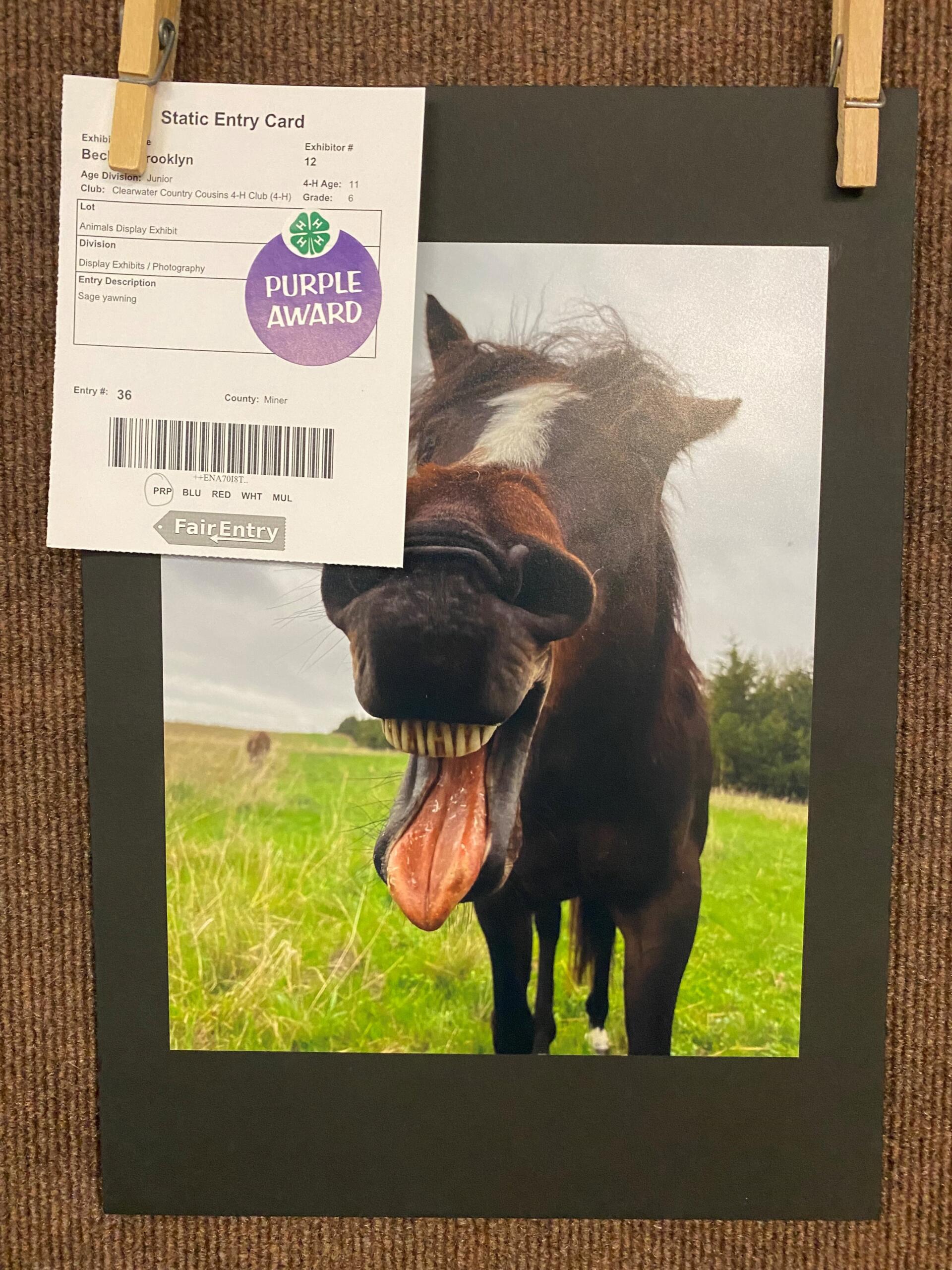 Miner County 4-H Achievement Days 2023