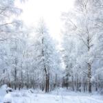 South Dakota winter weather South Dakota snow forecast Northeast South Dakota snowfall Laura Edwards State Climatologist National Weather Service South Dakota Thanksgiving weekend snow South Dakota cold temperatures below-average temperatures South Dakota travel advisory South Dakota snowstorm northeast South Dakota winter storm North Dakota South Dakota line single-digit temperatures South Dakota South Dakota weather update Mitchell Now weather