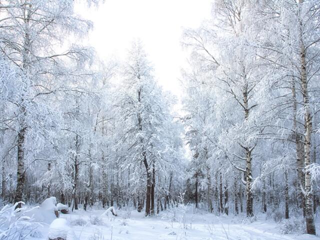 South Dakota winter weather South Dakota snow forecast Northeast South Dakota snowfall Laura Edwards State Climatologist National Weather Service South Dakota Thanksgiving weekend snow South Dakota cold temperatures below-average temperatures South Dakota travel advisory South Dakota snowstorm northeast South Dakota winter storm North Dakota South Dakota line single-digit temperatures South Dakota South Dakota weather update Mitchell Now weather