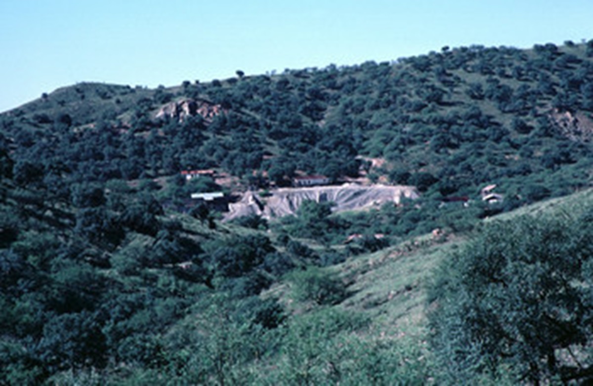 Rounds leads legislation to increase timber sales in the Black Hills