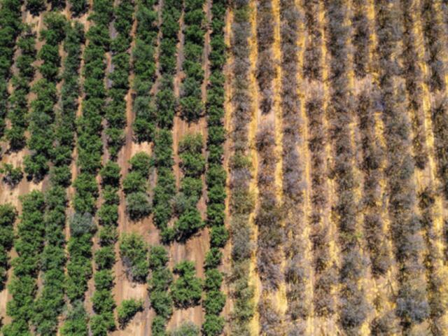South Dakota drought state climatologist Laura Edwards SDSU Extension drought conditions moisture levels summer weather moderate drought rainfall snow melt agriculture impact water resources weather outlook