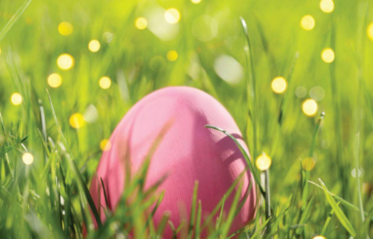 Pierre Elks Lodge Easter Egg Hunt 2025 Governor’s Mansion Easter event Larry Rhoden Easter Egg Hunt Sandy Rhoden family event Free Easter events in South Dakota Easter egg hunt Pierre SD South Dakota Governor family events Kids Easter activities South Dakota Annual Easter celebration Pierre 72nd Easter egg hunt South Dakota Easter baskets for kids 2025 Family-friendly events in Pierre