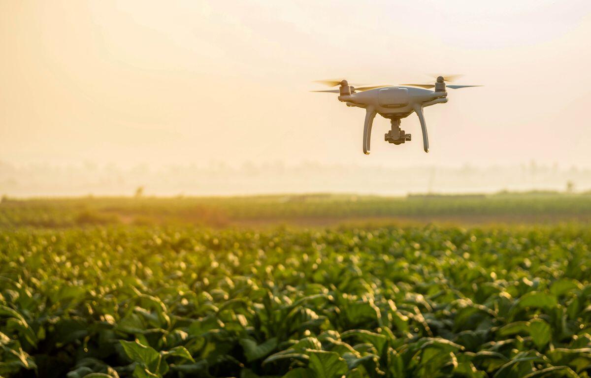Governor Larry Rhoden 30 governors Congress drone threats drone misuse drone spying drone stalking drone attacks state authority federal action drone security public safety drone detection stop drone threats crackdown on drones