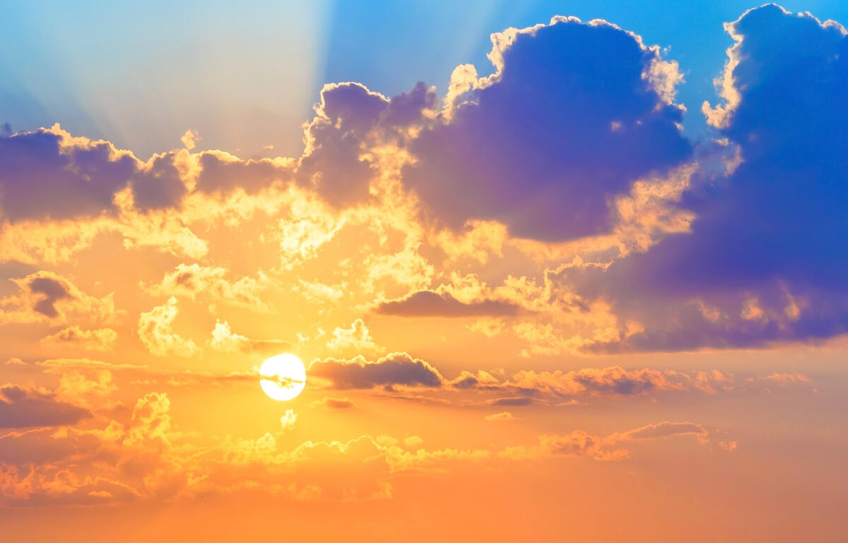 Work Week Weather Forecast