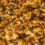 The City of Mitchell is doign their annual Leaf Collection Program