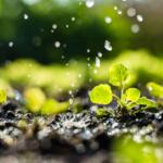 South Dakota economic development South Dakota agriculture growth South Dakota manufacturing expansion Governor’s Office of Economic Development GOED South Dakota South Dakota business investment South Dakota job creation Larry Rhoden South Dakota South Dakota agriculture projects South Dakota business growth