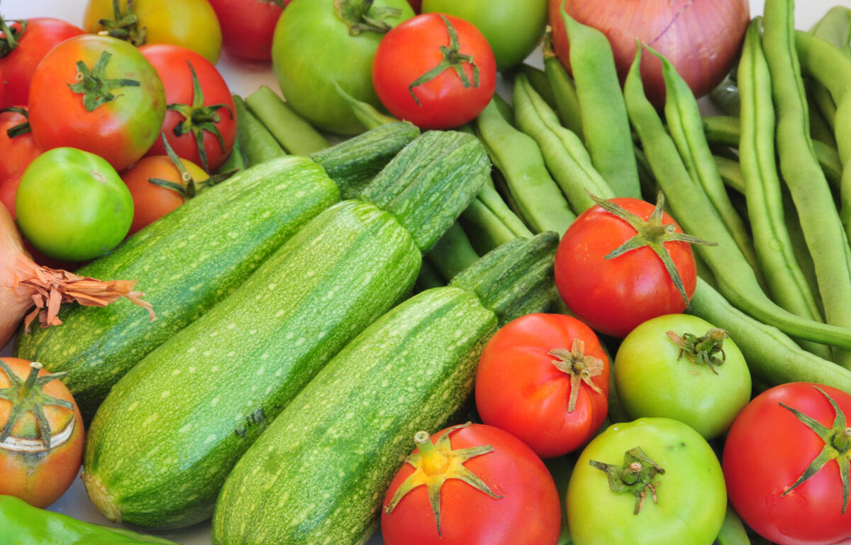 South Dakota DSS Confirms November SNAP Benefits Will Be Issued on Schedule