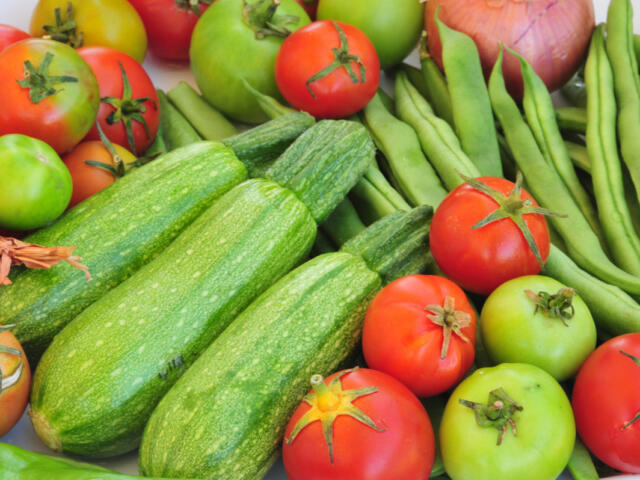 South Dakota DSS Confirms November SNAP Benefits Will Be Issued on Schedule