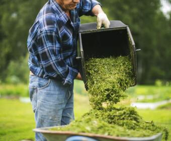 Man putting grass clippings in recycling container