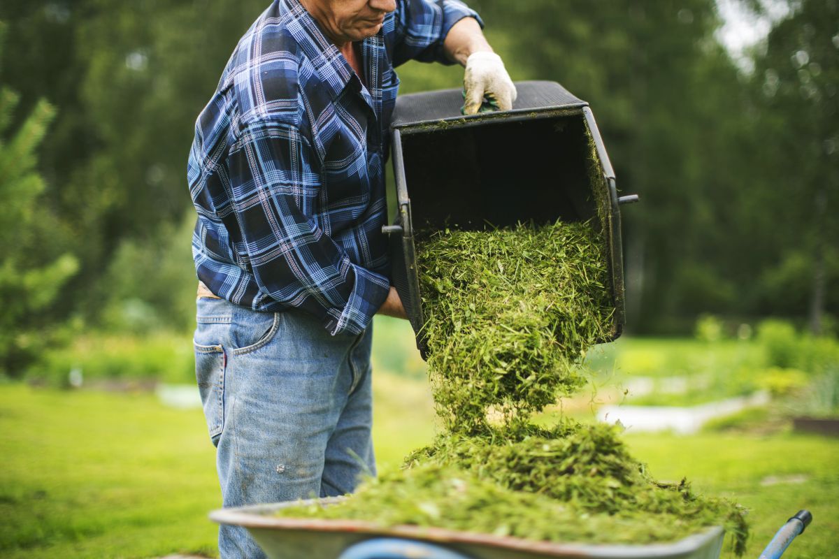 Man putting grass clippings in recycling container
