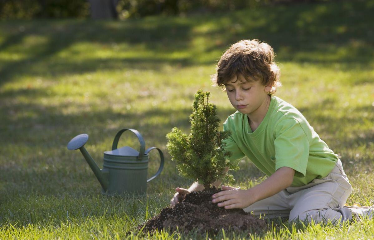 Mitchell Happenings this weekend include an arbor day event