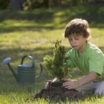 Mitchell Happenings this weekend include an arbor day event