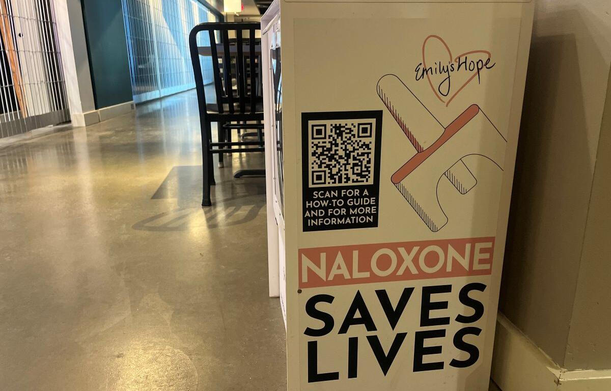 Davison county Opoid