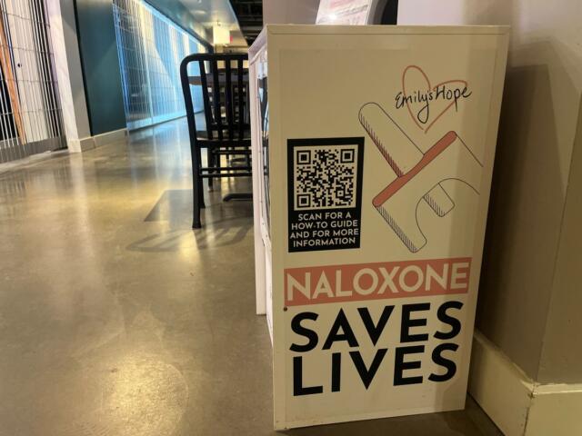 Davison county Opoid