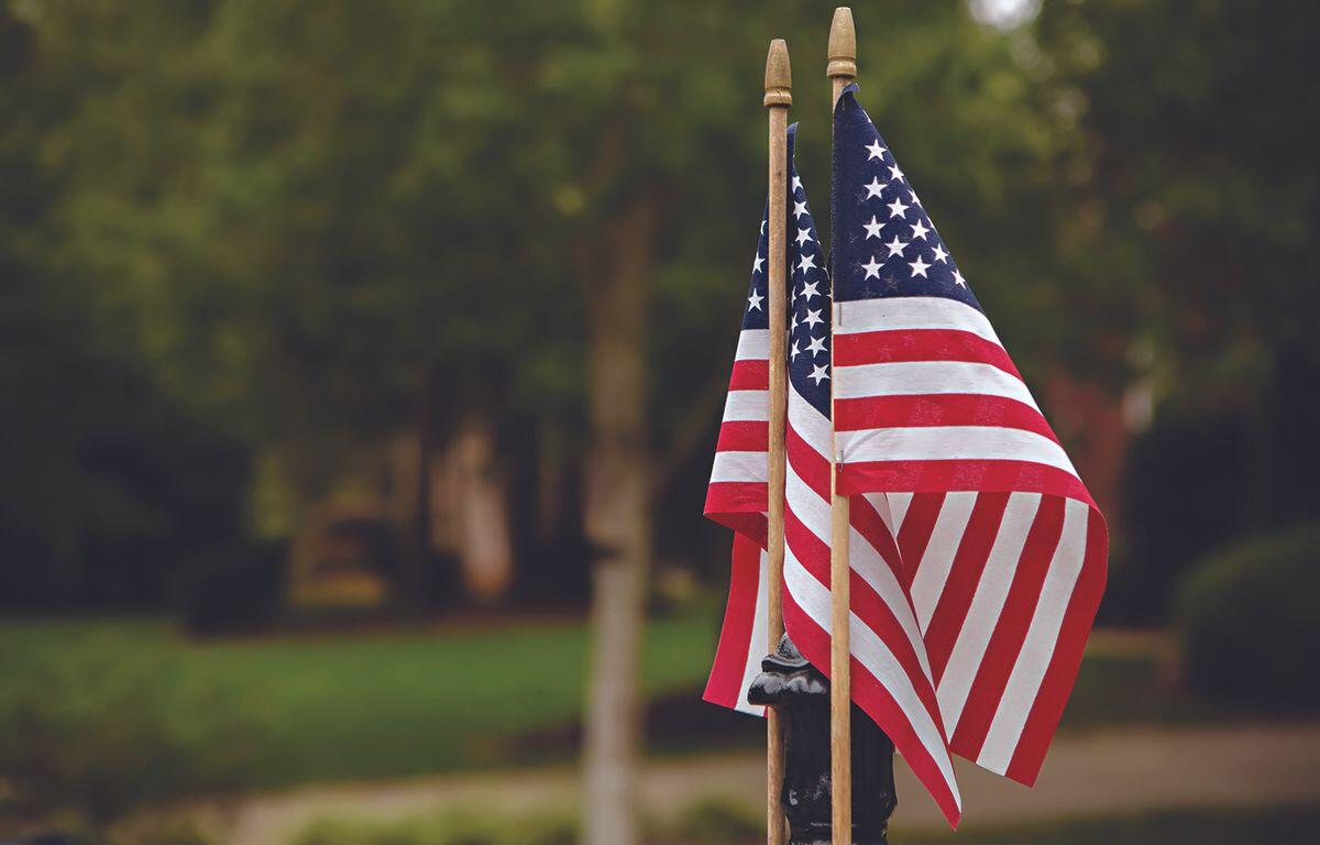Two American flags on wooden poles waving in a park breeze, with a blurred green background.