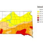 U.S. Drought Monitor map for the week of June 11, 2026.