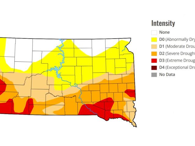 U.S. Drought Monitor map for the week of June 11, 2026.