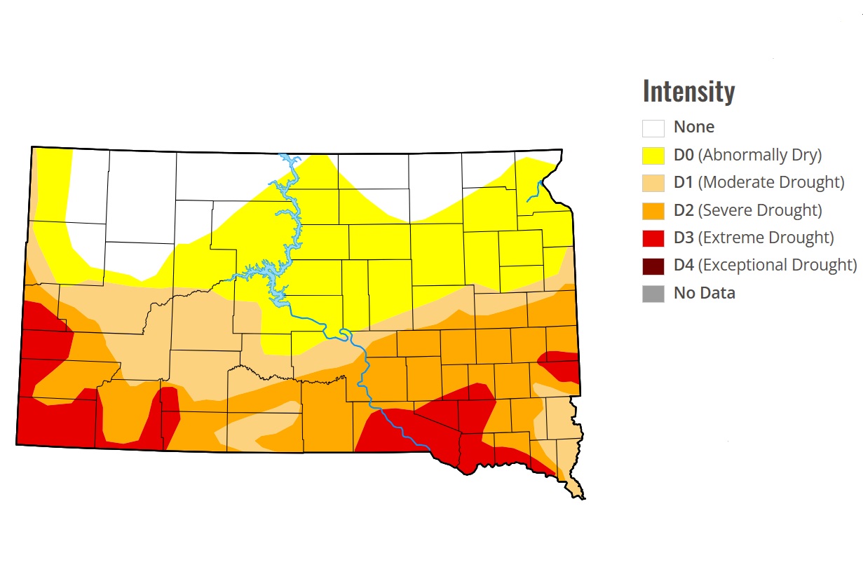 U.S. Drought Monitor map for the week of June 11, 2026.