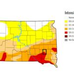 Davison County and the surrounding areas are being hammered by a mix of severe and extreme drought