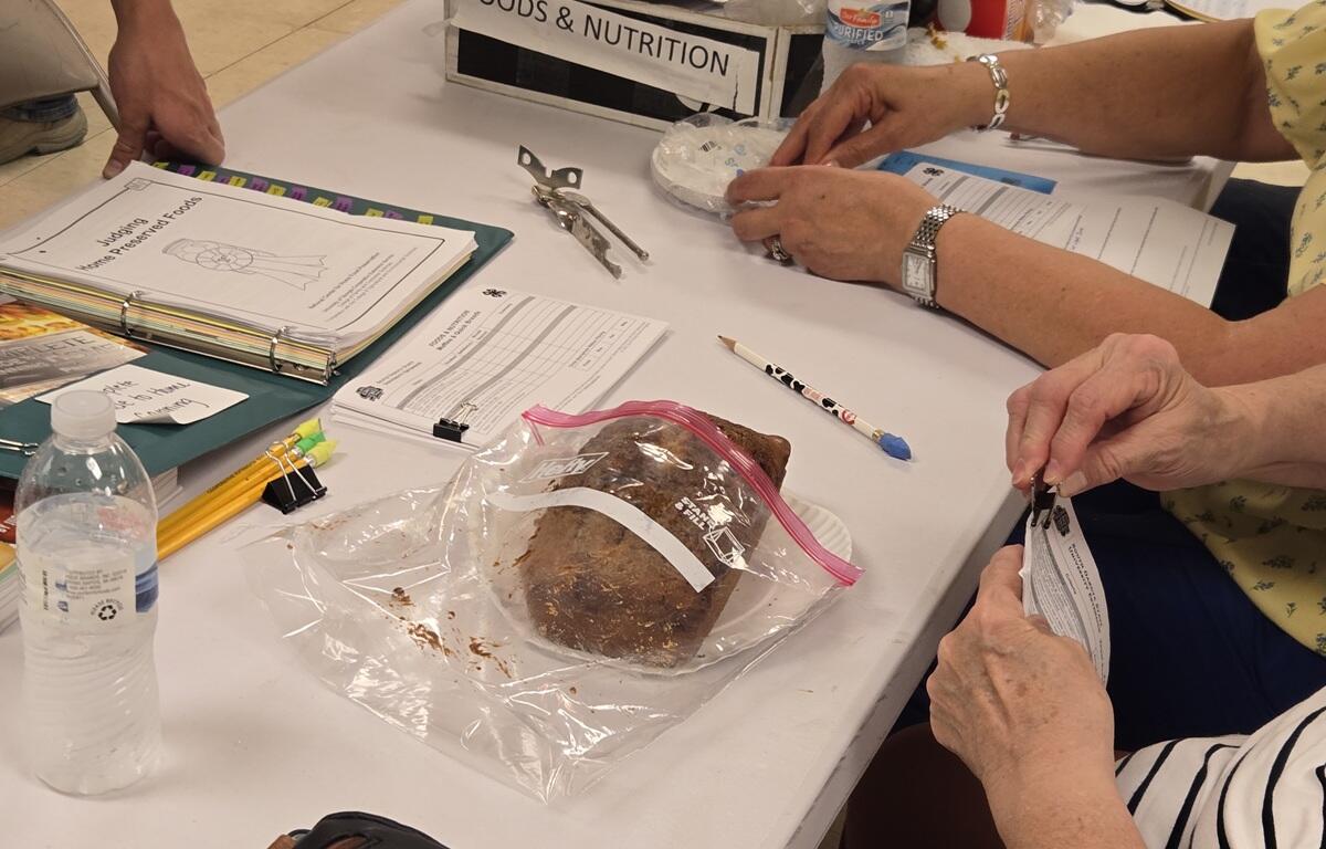 Homemade bread judging at Charles Mix 4-H Achievement Days