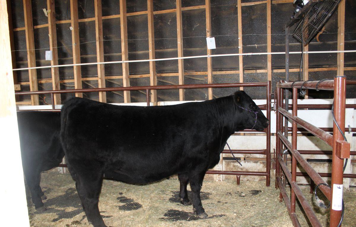 McCook County 4-H Appreciation Days