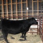 McCook County 4-H Appreciation Days