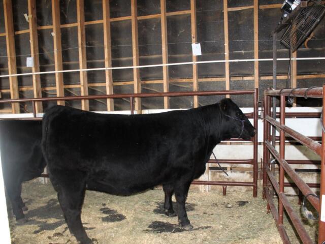 McCook County 4-H Appreciation Days