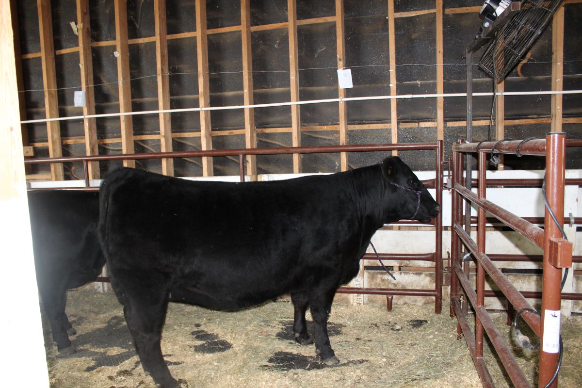 McCook County 4-H Appreciation Days