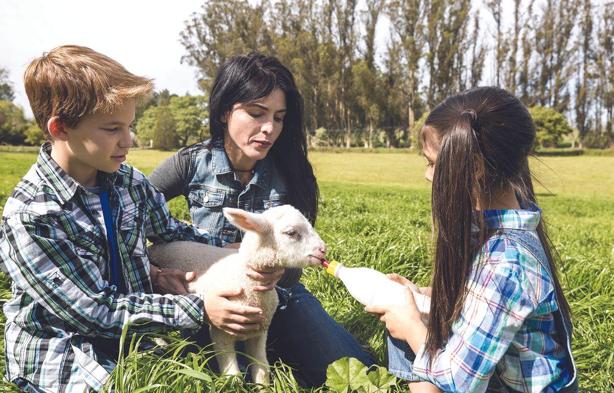 Hanson County 4-H Appreciation Days