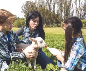 Hanson County 4-H Appreciation Days