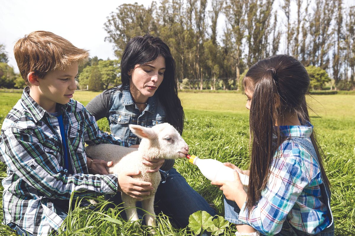 Hanson County 4-H Appreciation Days