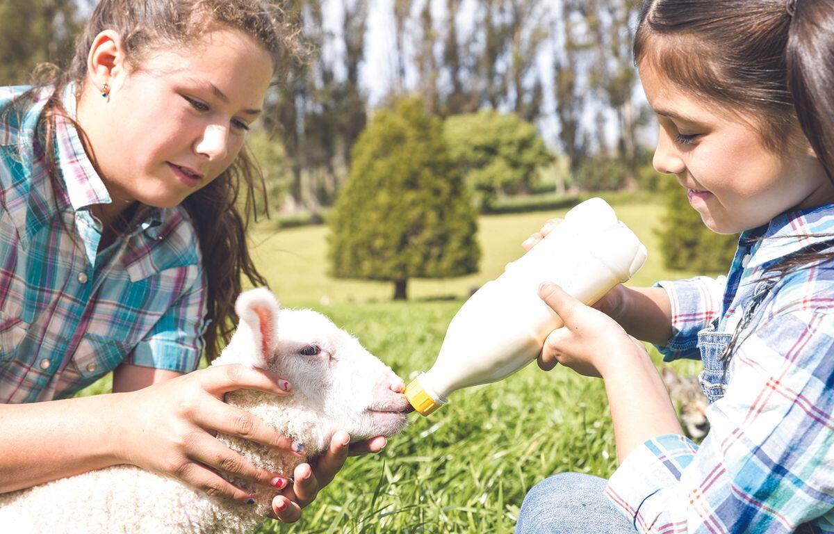 Charles Mix 4-H Appreciation Days
