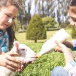 Charles Mix 4-H Appreciation Days