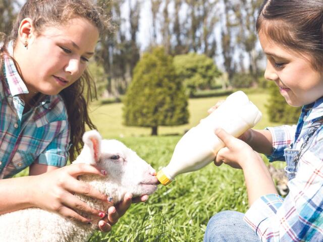 Charles Mix 4-H Appreciation Days