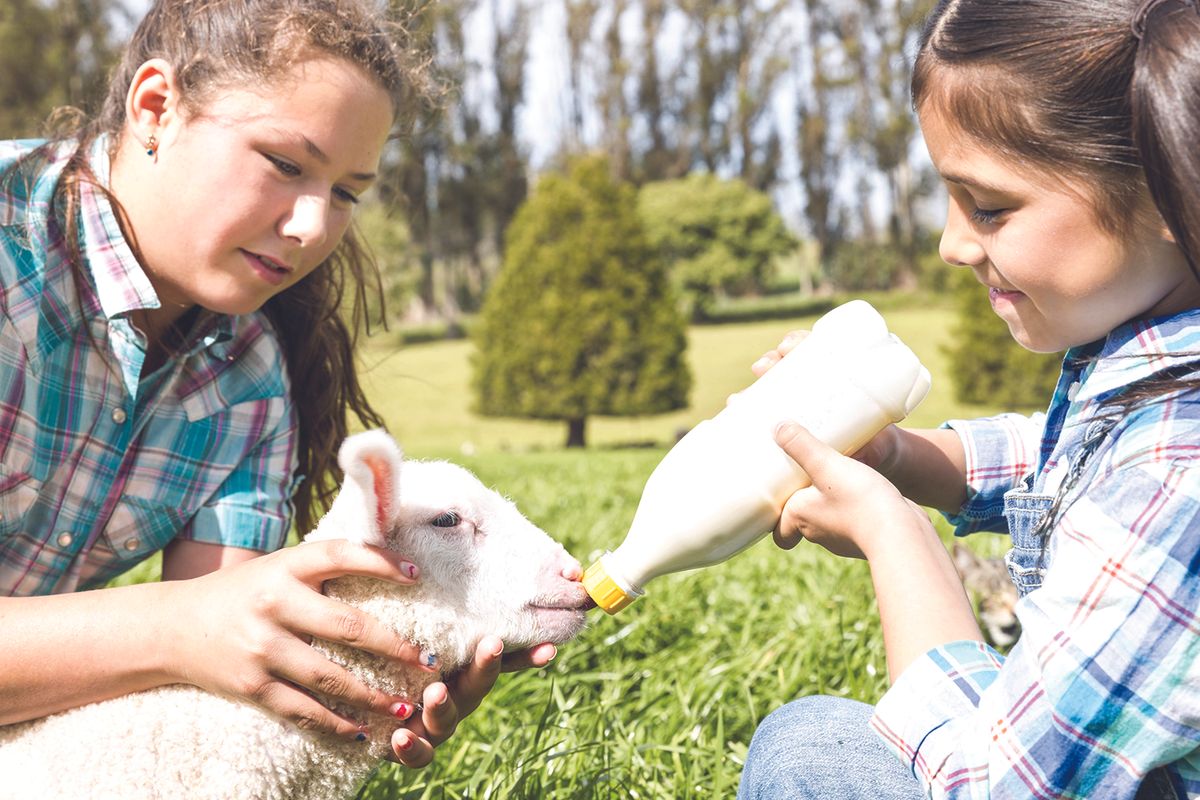Charles Mix 4-H Appreciation Days