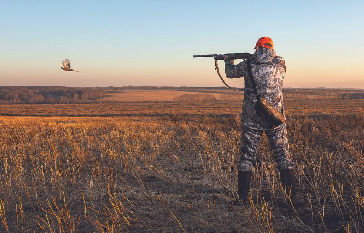 2026 Hunting Guide