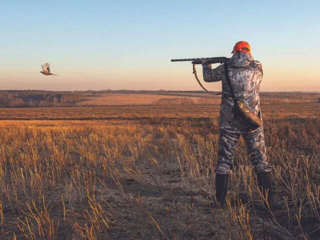 2026 Hunting Guide