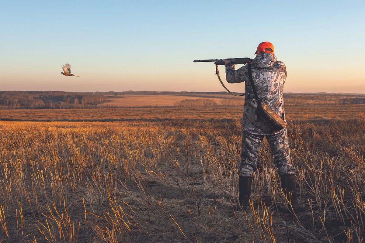 2026 Hunting Guide