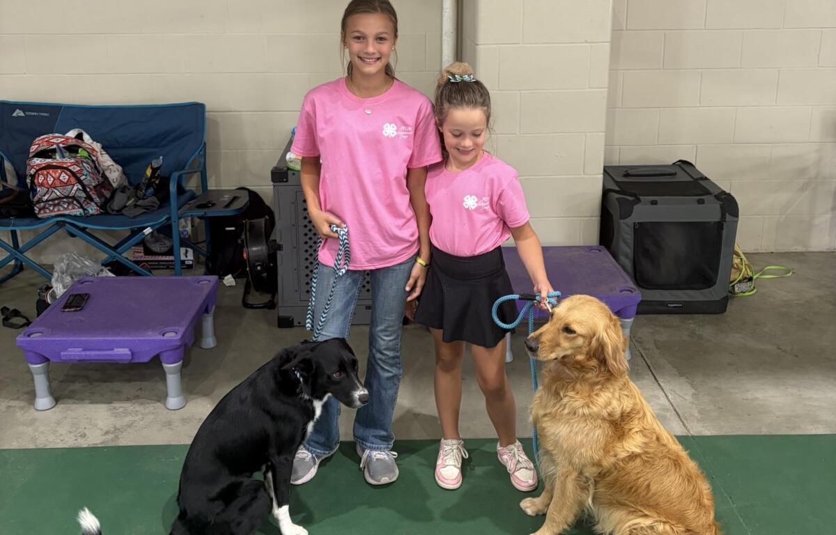 Davison County 4-H Appreciation Days