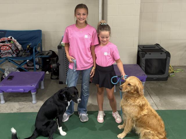 Davison County 4-H Appreciation Days