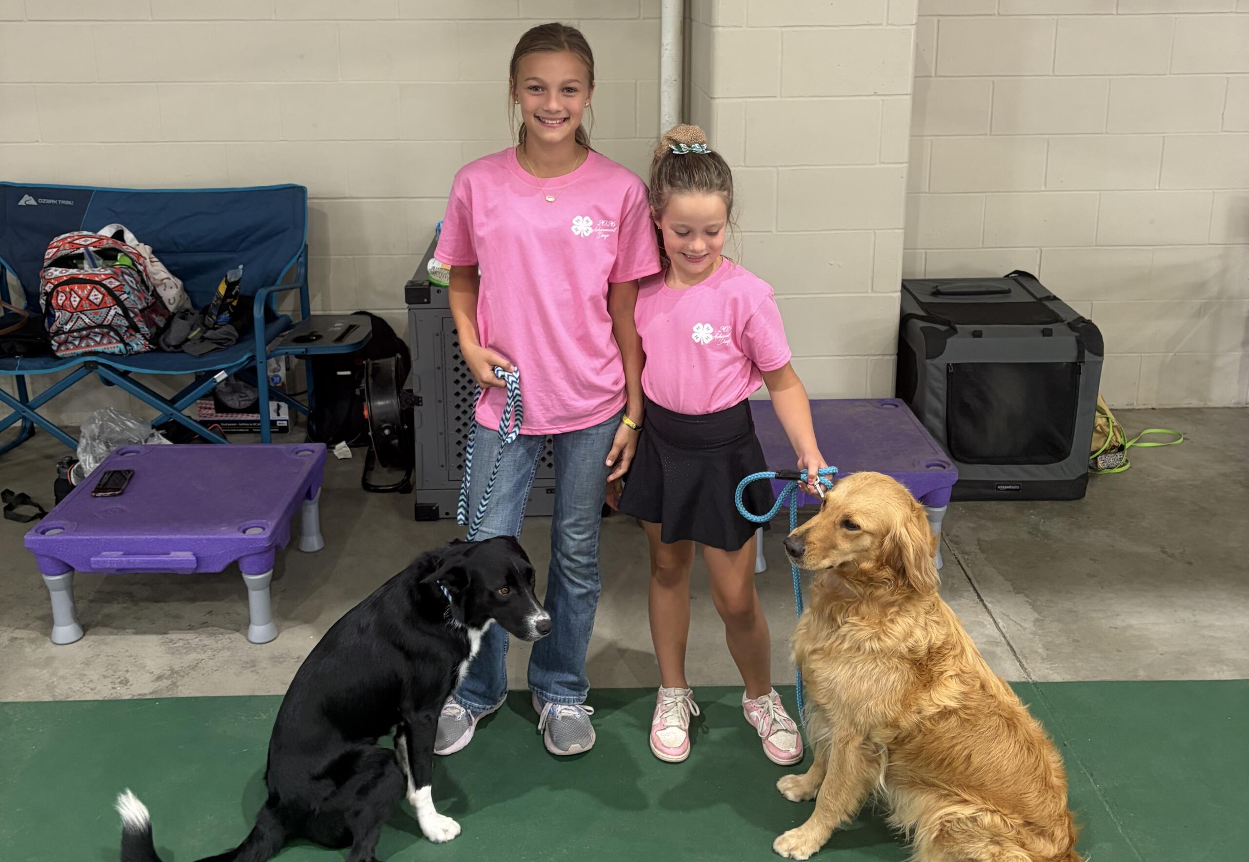 Davison County 4-H Appreciation Days