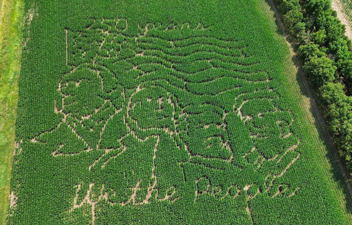 Streff Family Corn Maze in Salem celebrates America 250, supports Salem City Park